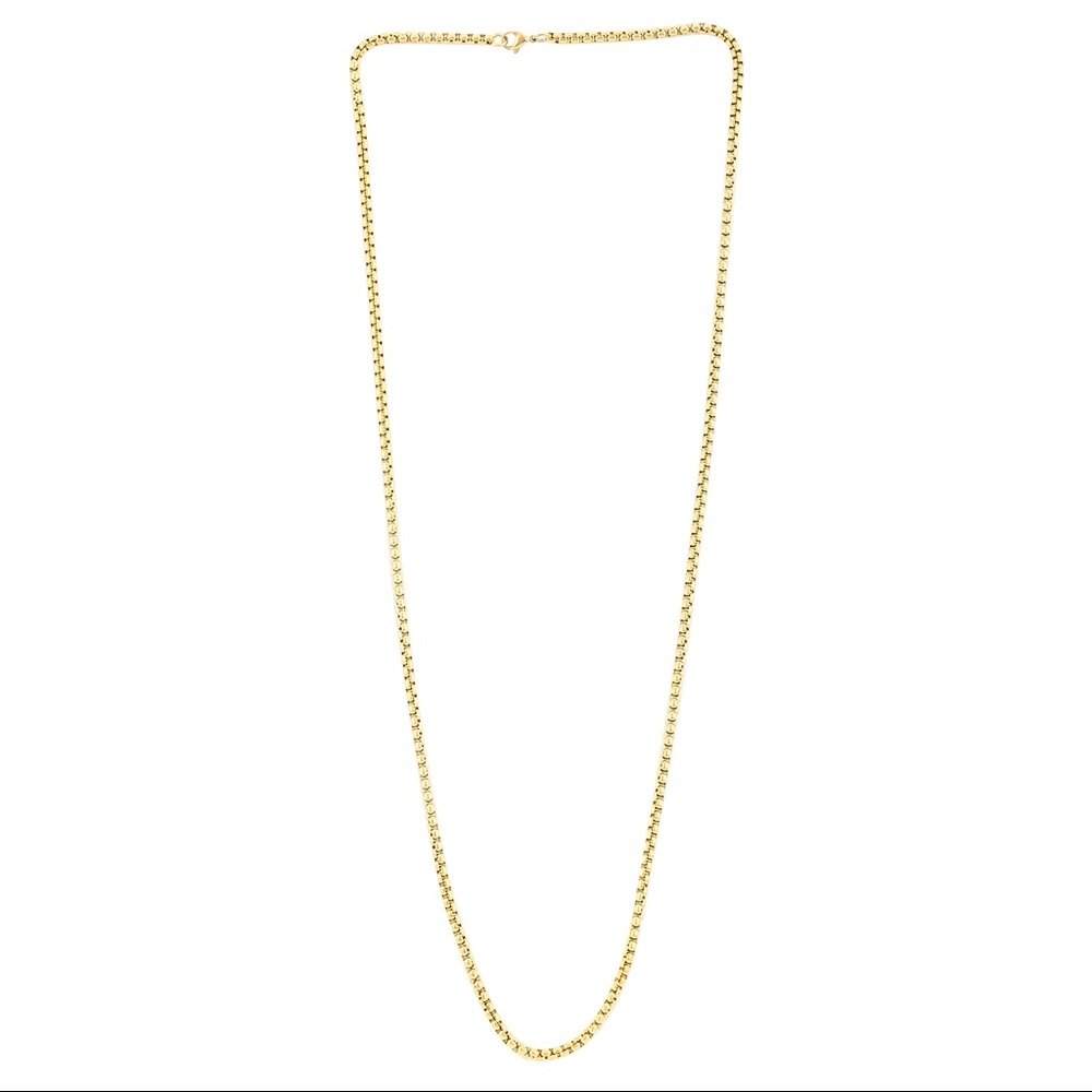 ION Plated Yellow Gold/ Stainless Steel Box Necklace